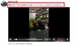 痞幼真实爆料新闻,娱乐圈背后的真实爆料